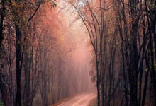 峥嵘岁月 家国记忆｜嵇效增：妙手抗敌 救死扶伤勇担当央视网.