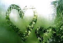 [CBA]布朗突破分球底角 胡金秋三分出手命中.