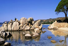 英超-帕尔默造两球 切尔西2-1纽卡终结2轮不胜.